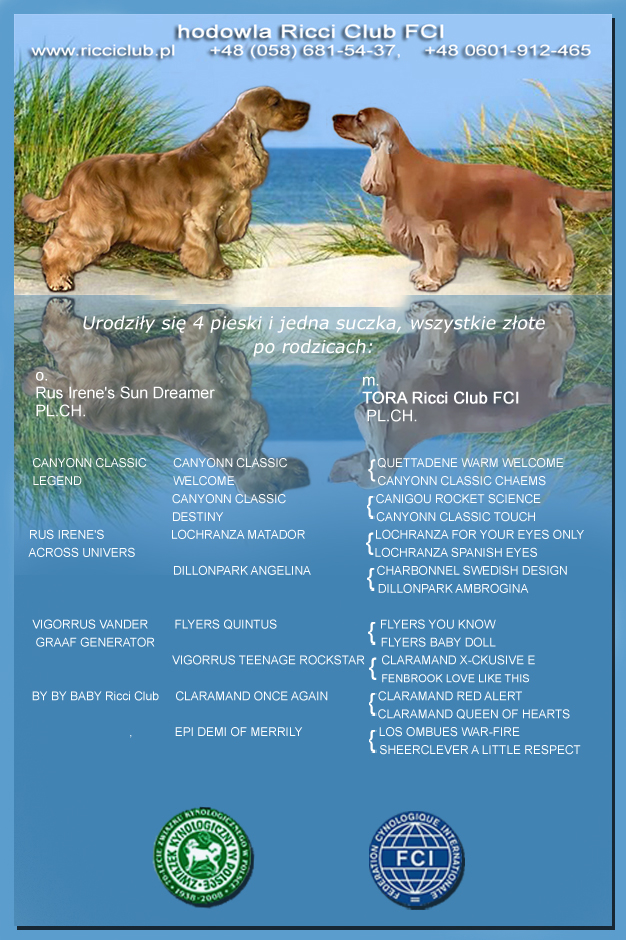 hodowla ricci club