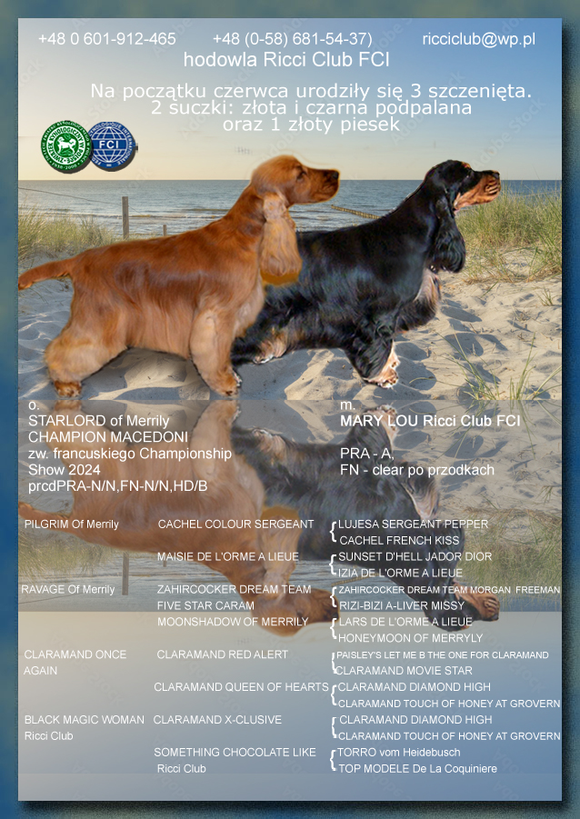 starlord of merrily x mary lou ricci club