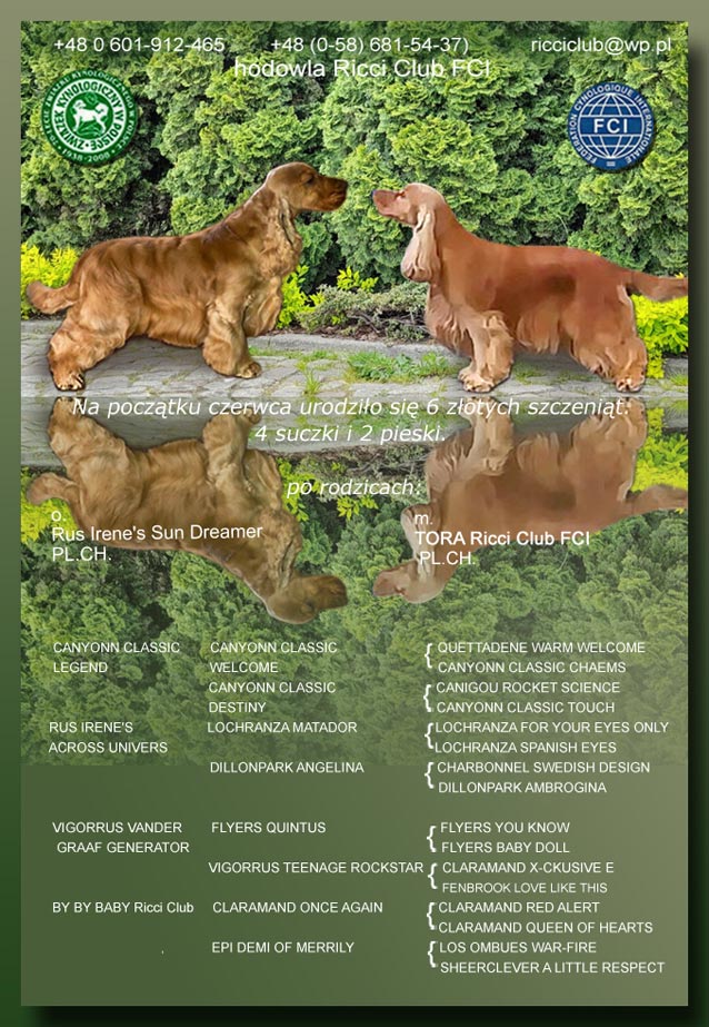 rus irene's sun dreamer x tora ricci club