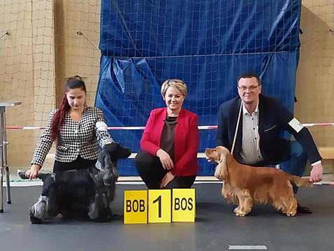 ids olsztynek tora ricci club